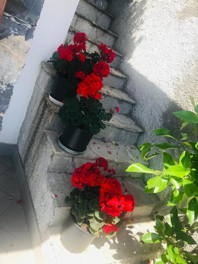 Villa Teresa Casarza Ligure Eksteriør bilde